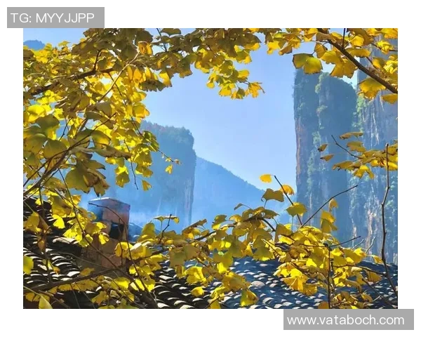 重庆攀岩队勇夺全国攀岩力量排行榜第二名展现强大实力与团队精神